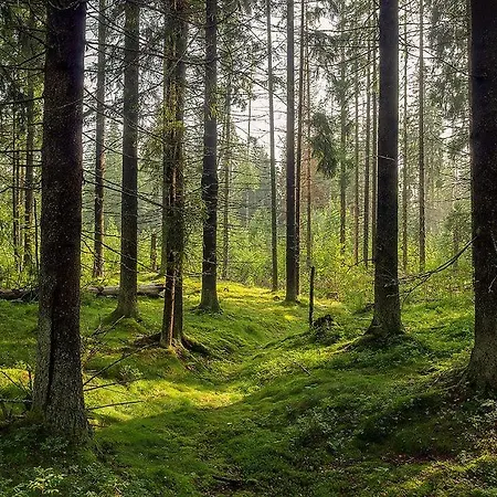 B&B Gdynia Hotel Gdynia