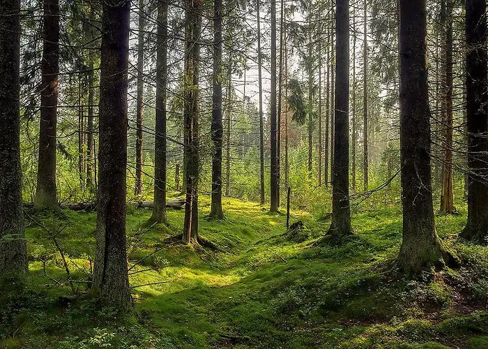 B&B Gdynia Hotel Gdynia